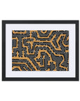 Clearly Framed Wall Art