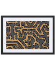 Clearly Framed Wall Art