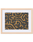 Clearly Framed Wall Art